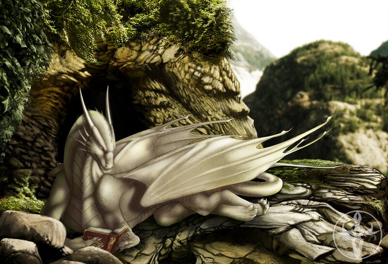 White Dragon Reading Book