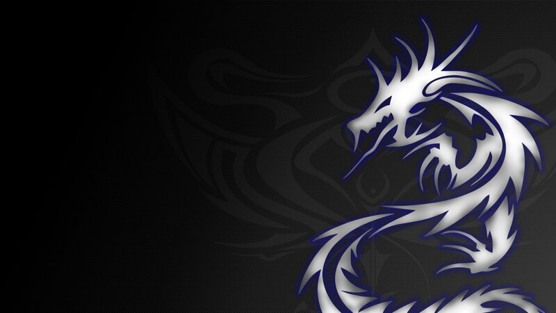 White Dragon Silhouette — Black, Dramatic, Digital Art, Background