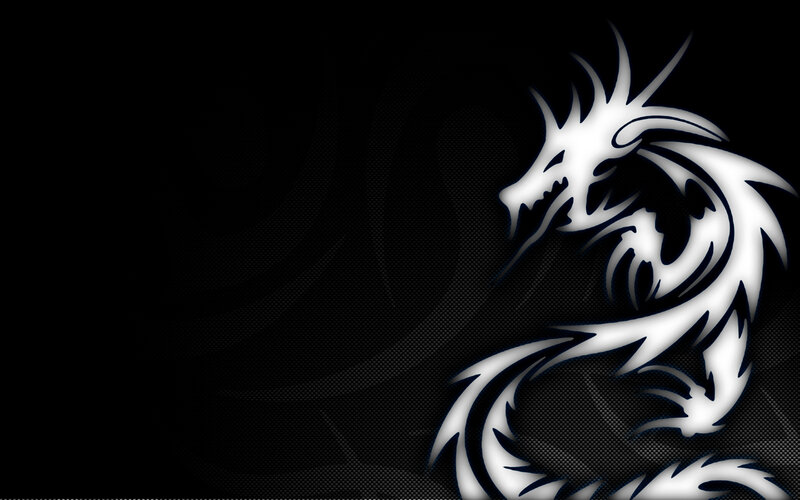 White Dragon Silhouette — Black, Dramatic, Digital Art
