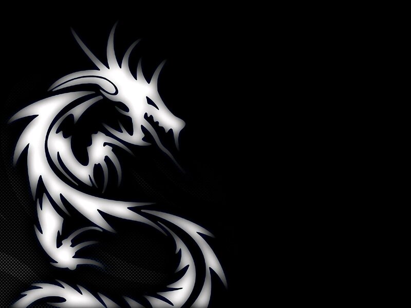 white dragon silhouette