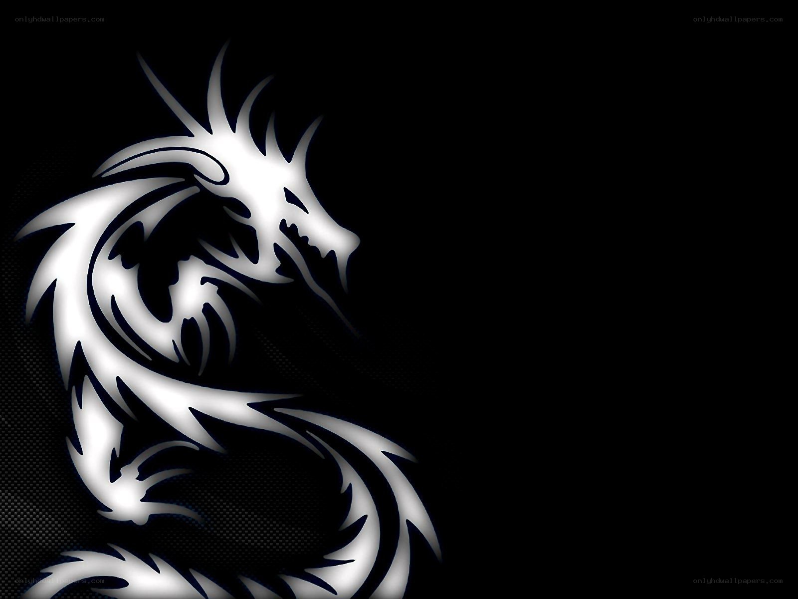 white dragon silhouette