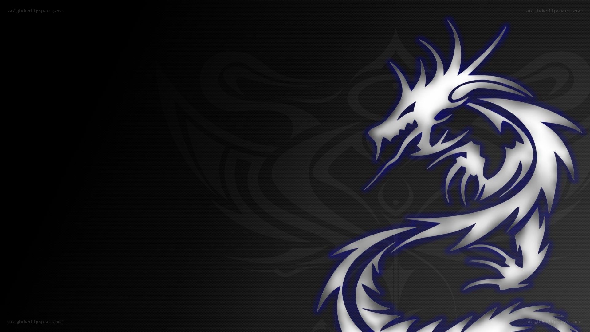 white dragon tribal design