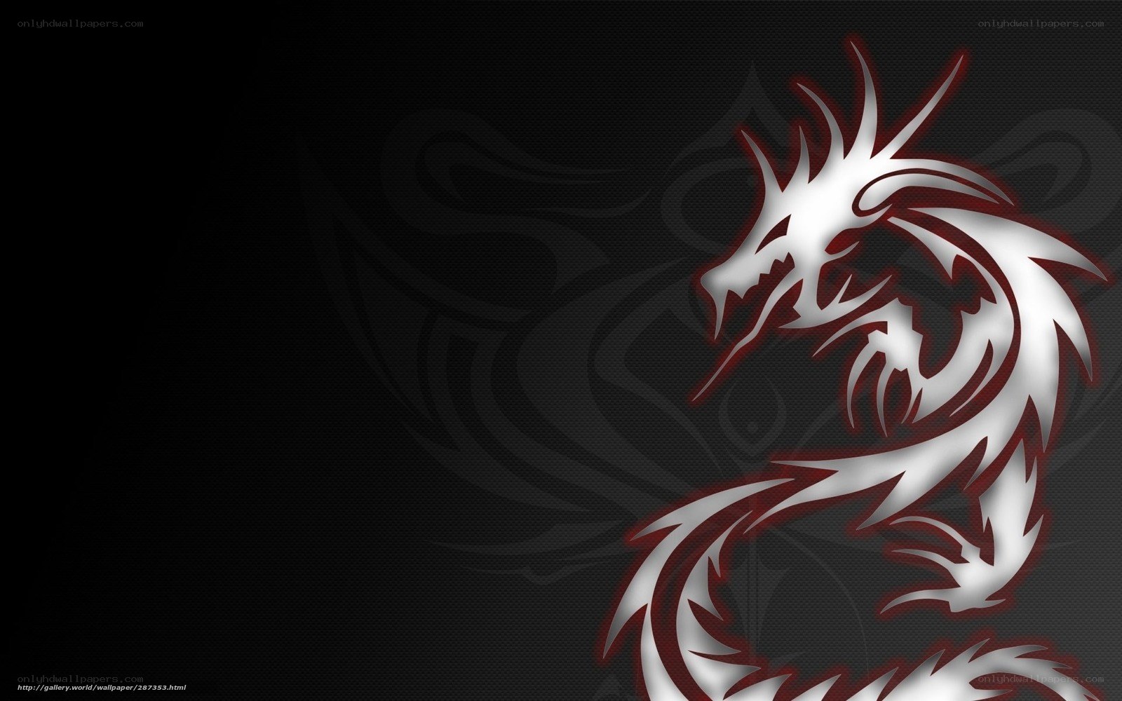white dragon tribal design