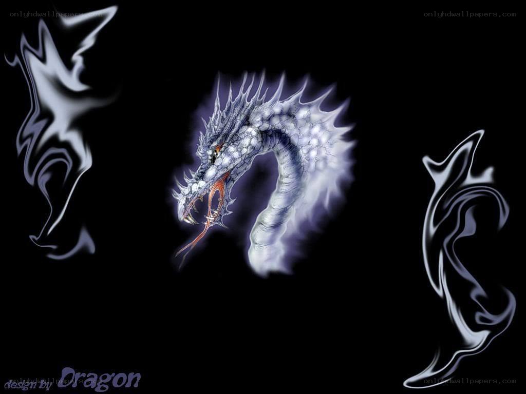 White dragon with glowing aura