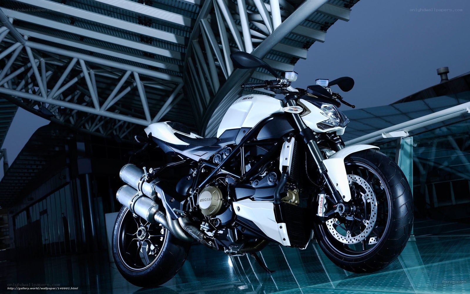 White Ducati motorcycle display