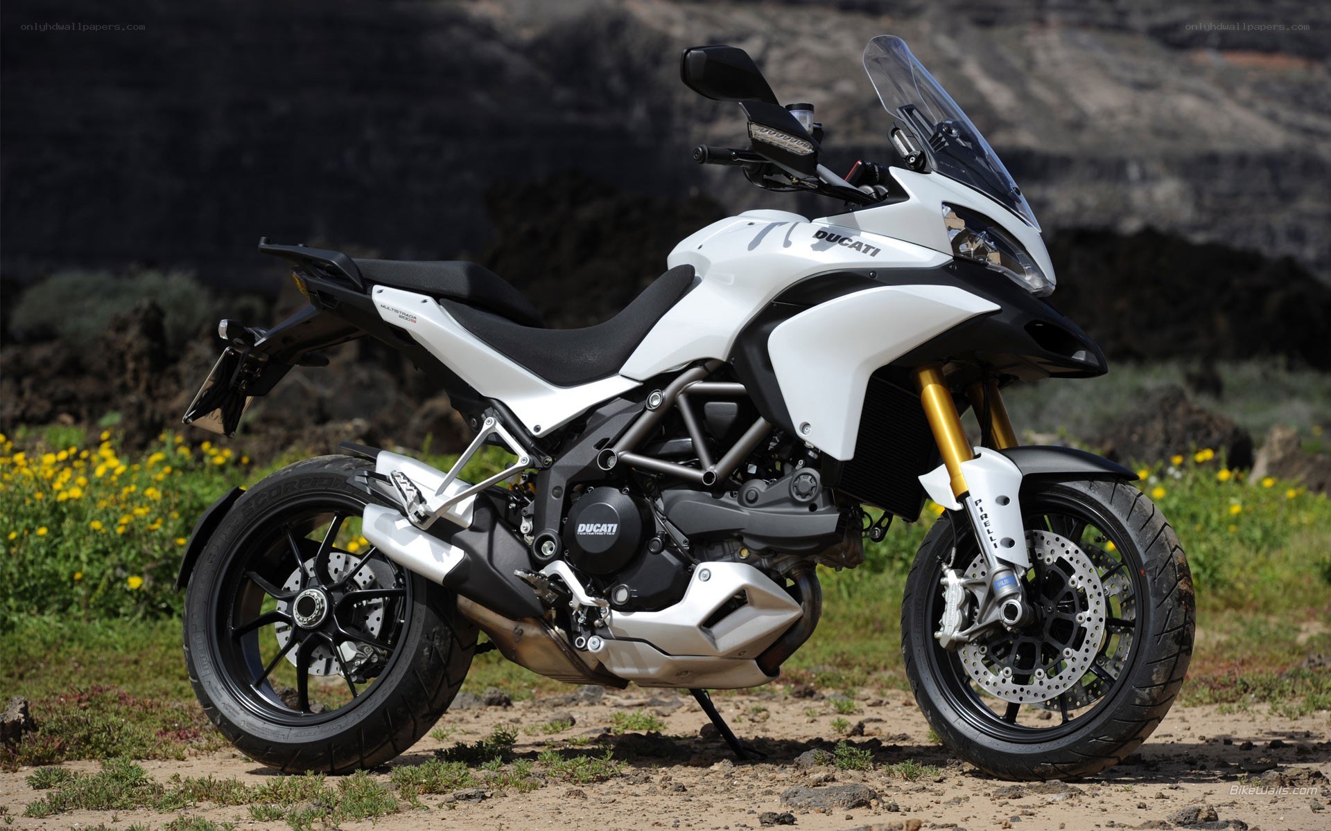 White Ducati motorcycle in field