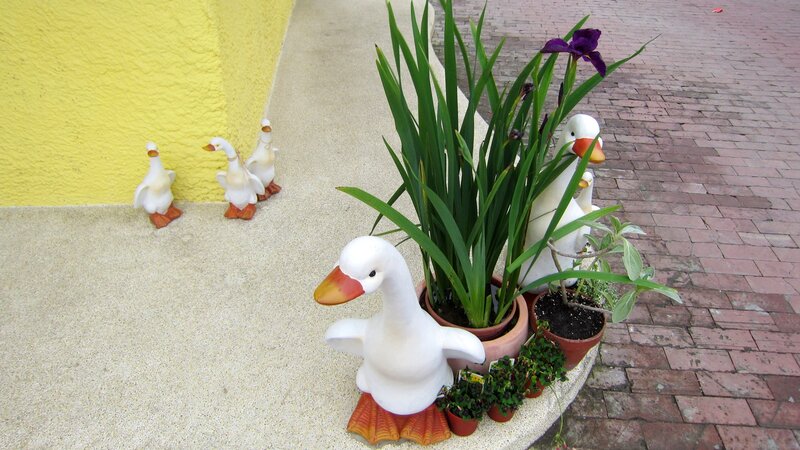 White Duck Figurines
