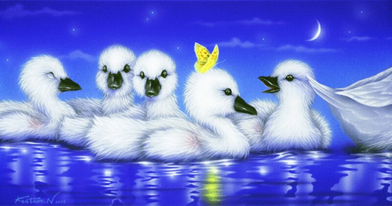 White Ducklings in Water