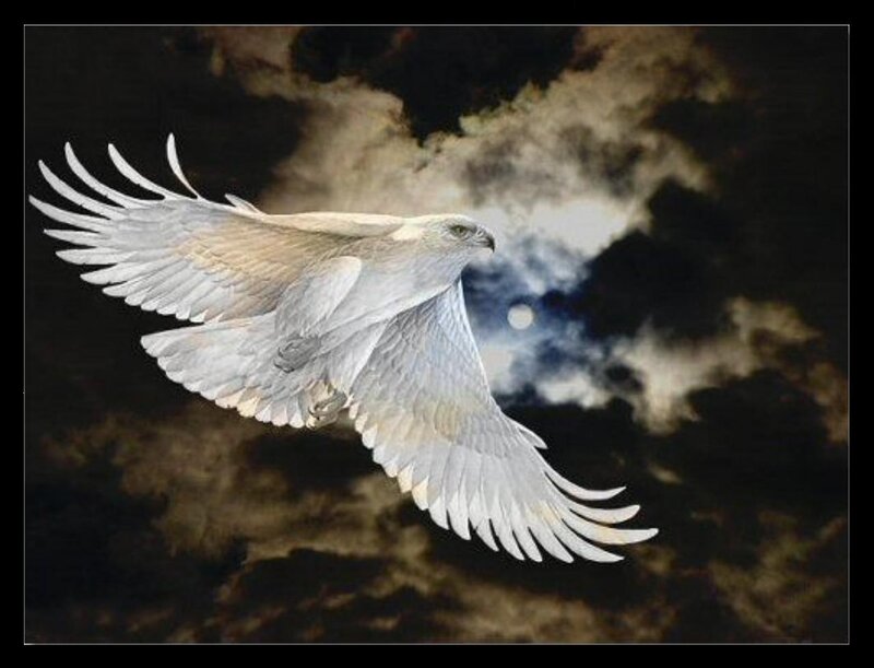 White Eagle in Flight
