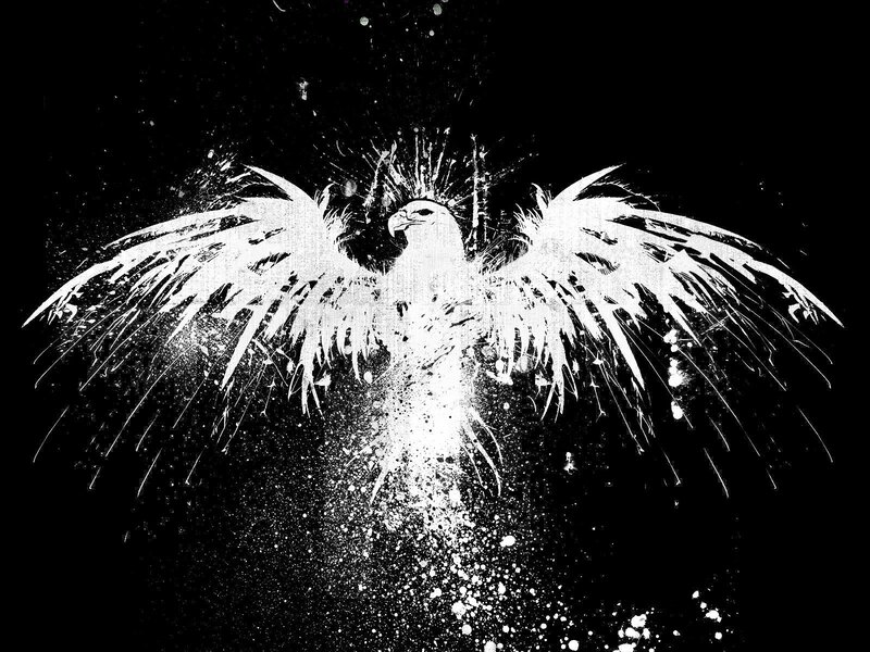White Eagle with Spread Wings — Black, Dramatic