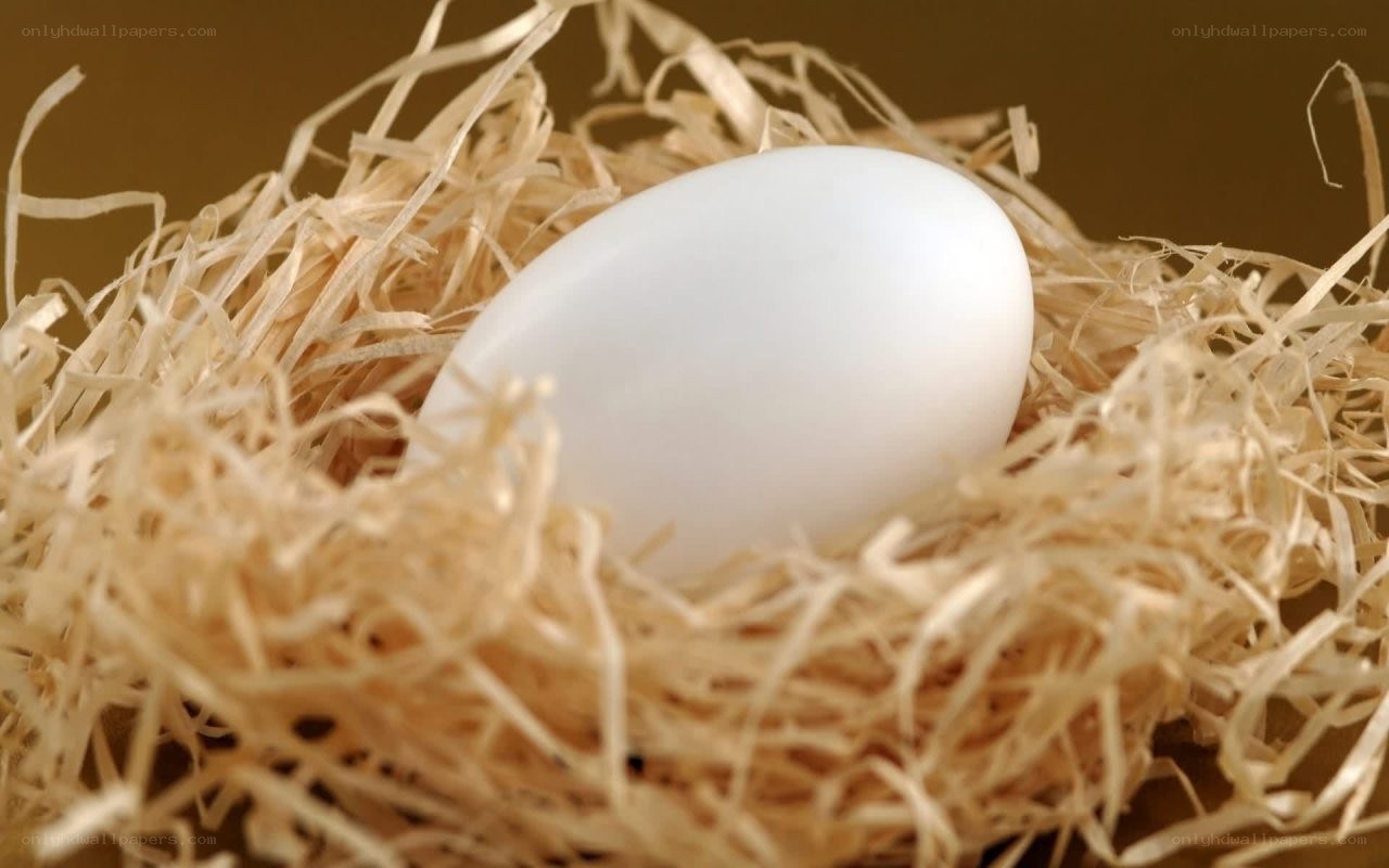 white egg in straw nest