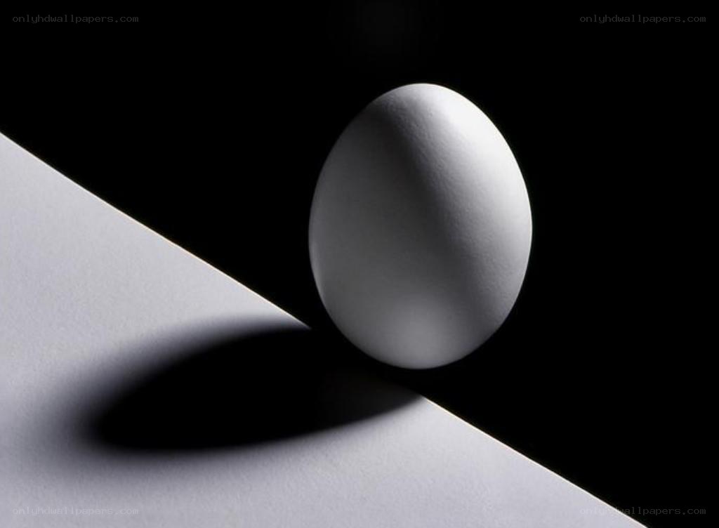 White egg on black background