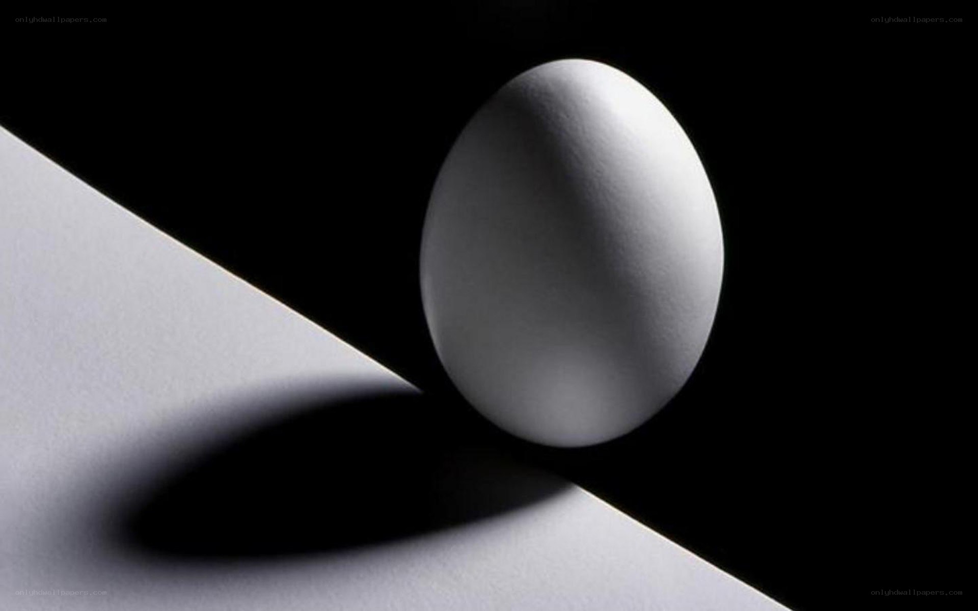 White egg on black background
