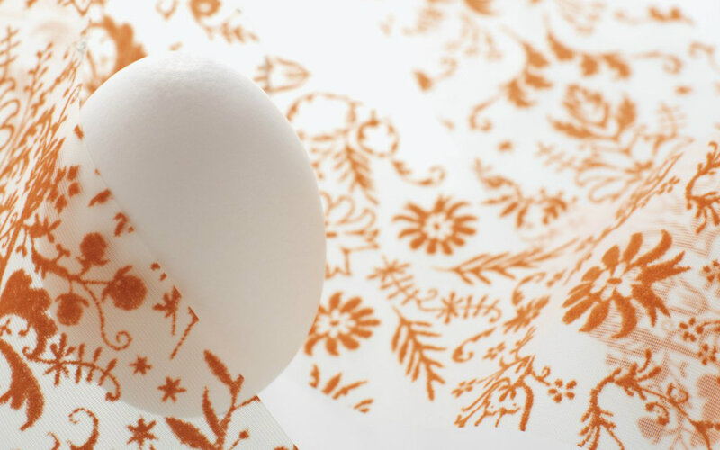 White Egg on Fabric