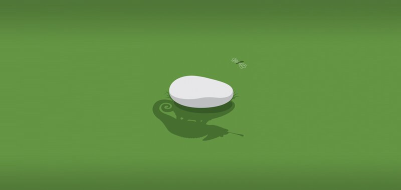 white egg on green grass