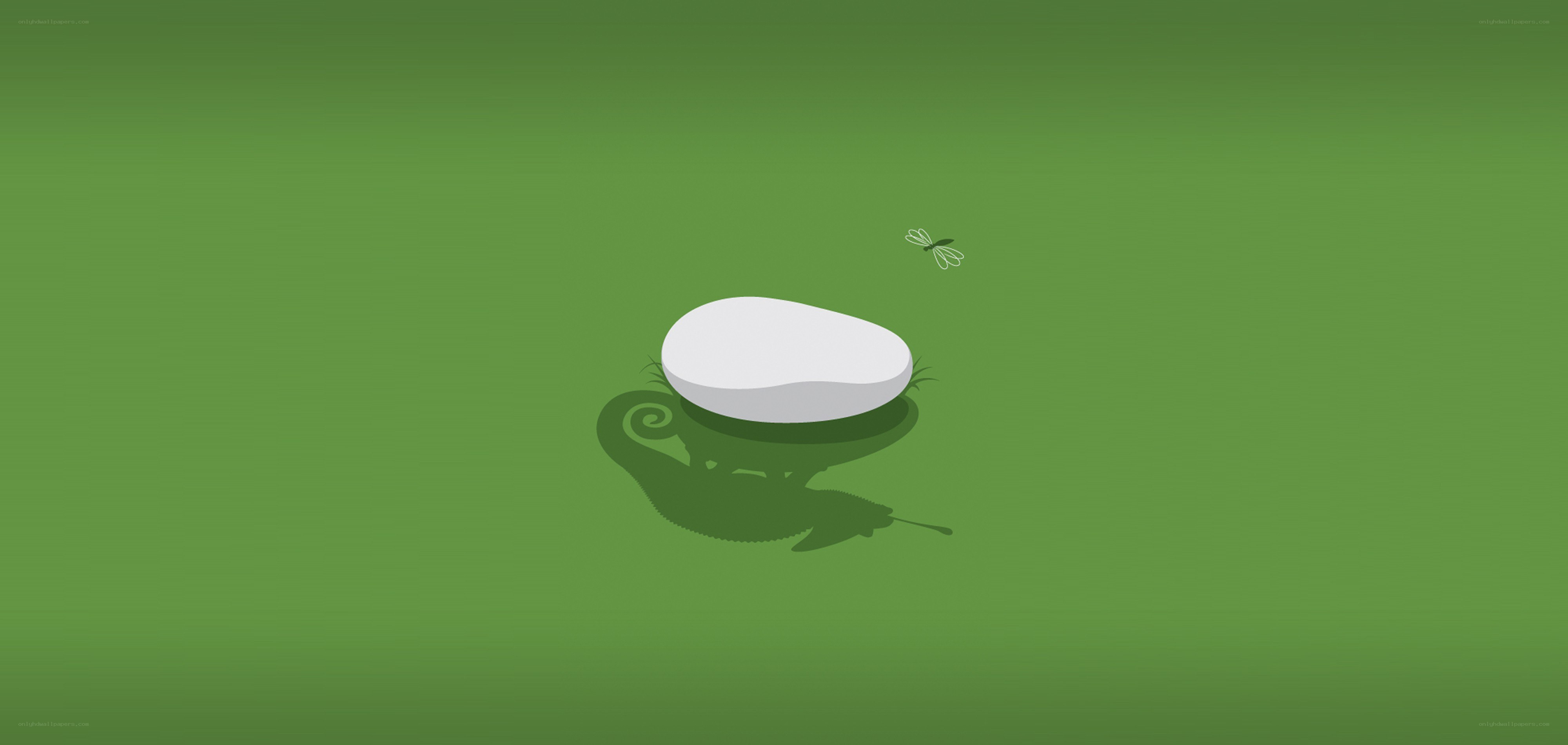 white egg on green grass
