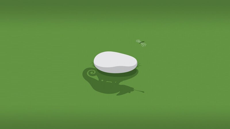 White Egg on Green