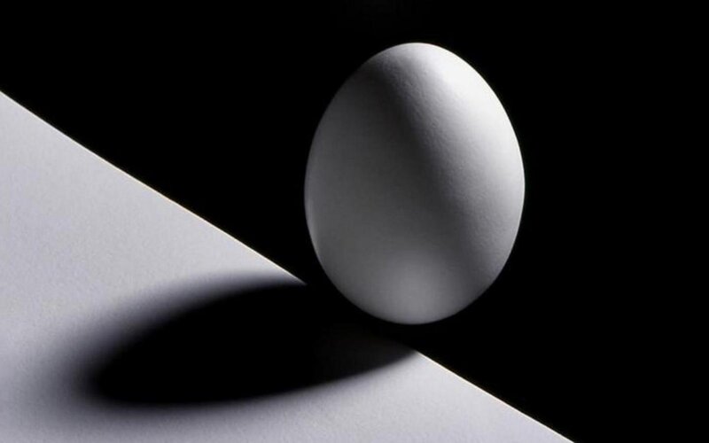 White Egg on Surface — Black