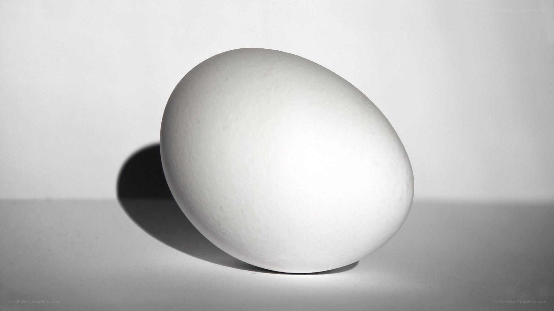 white egg on white surface