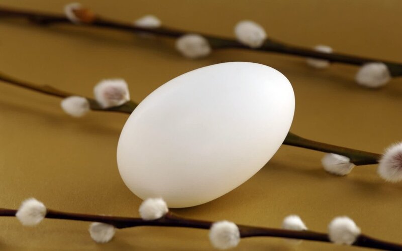 White egg with willow branches