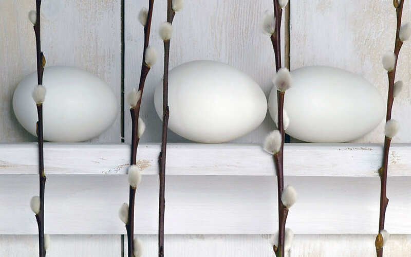 White Eggs and Willow Branches