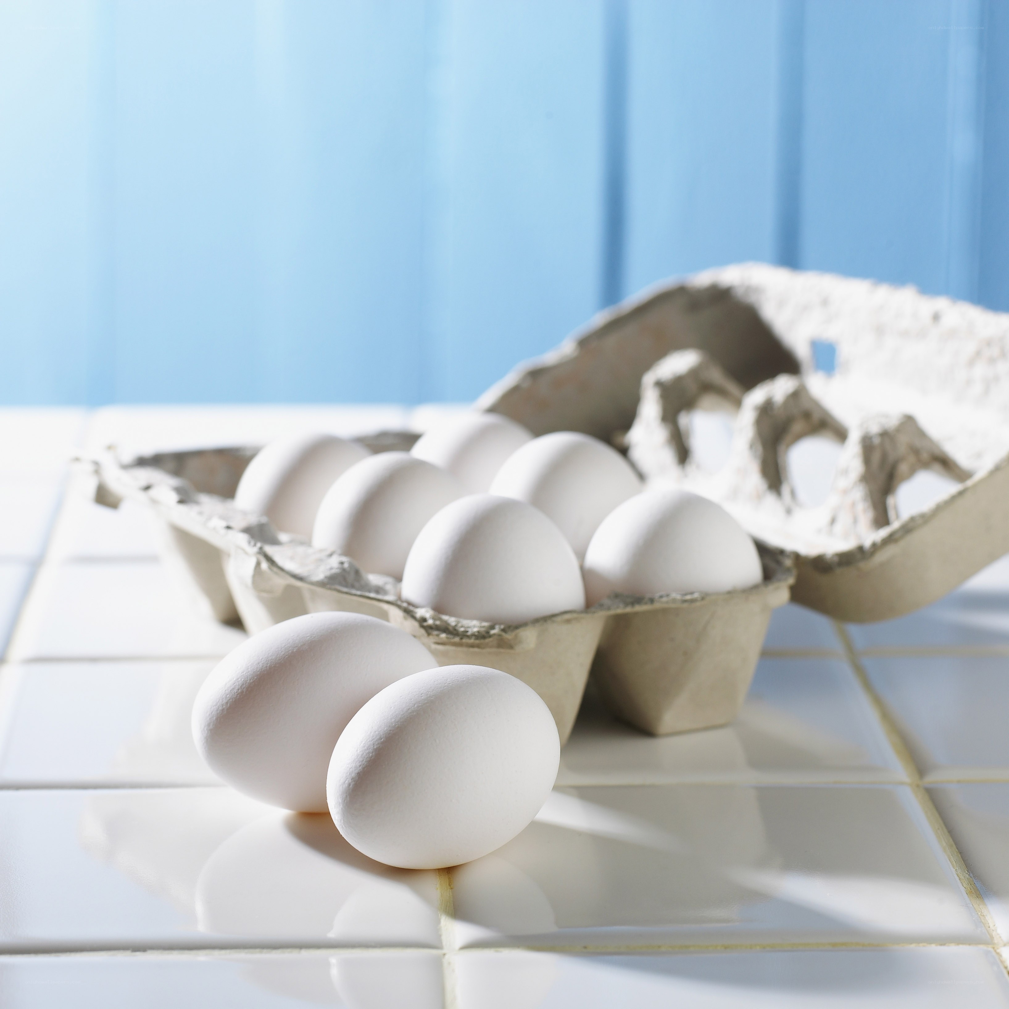 White eggs in a carton