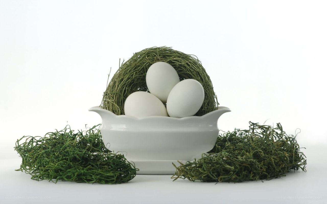 White eggs in a nest bowl