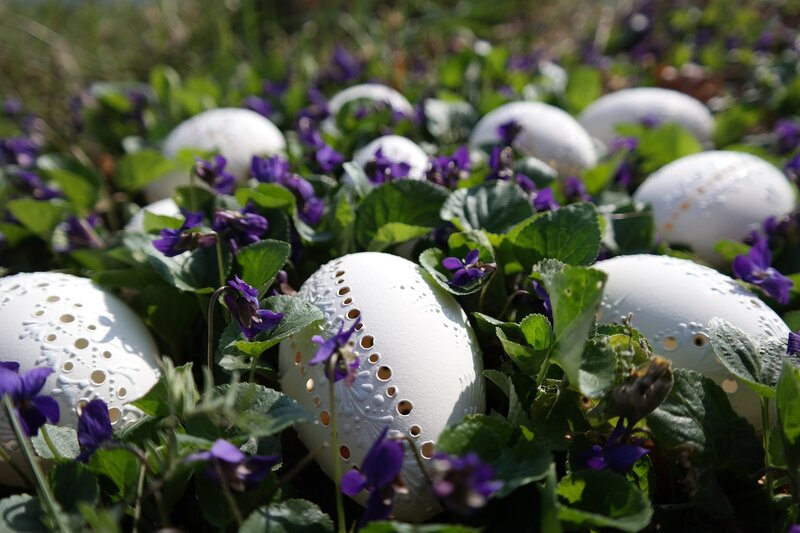 White Eggs in Flowers