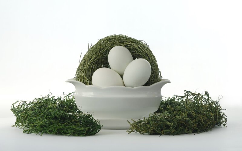 White Eggs in Nest — Serene