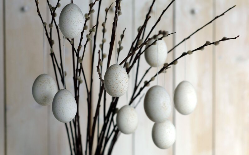 White Eggs on Branches — Serene