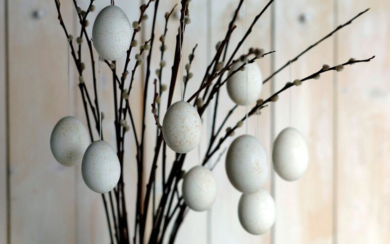 White Eggs on Branches