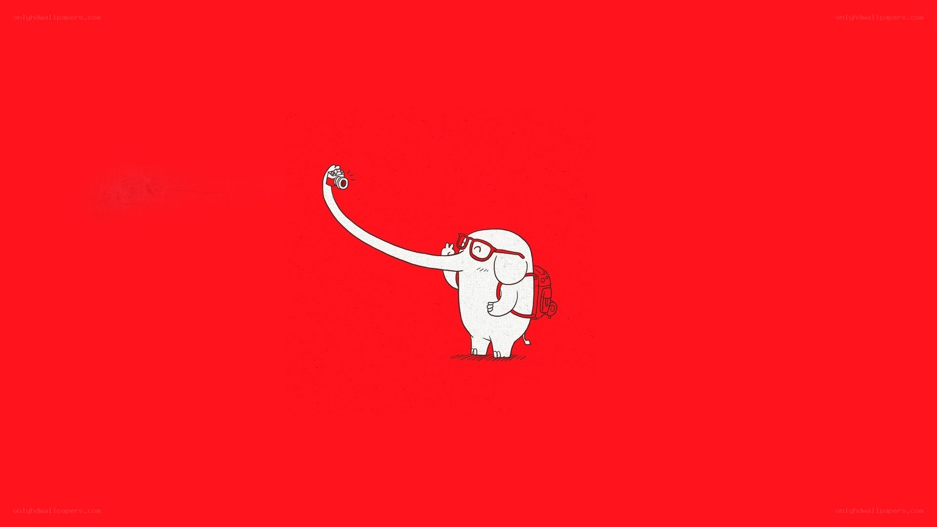 white elephant taking a selfie