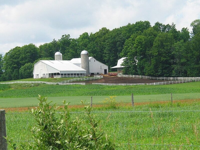 White Farm Buildings