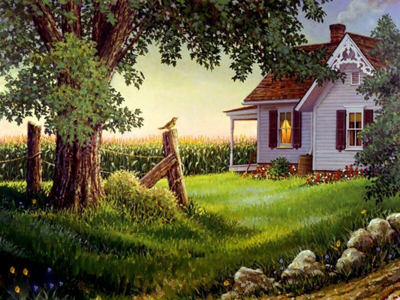 White Farmhouse in Field