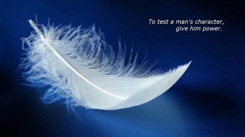 White Feather — Blue