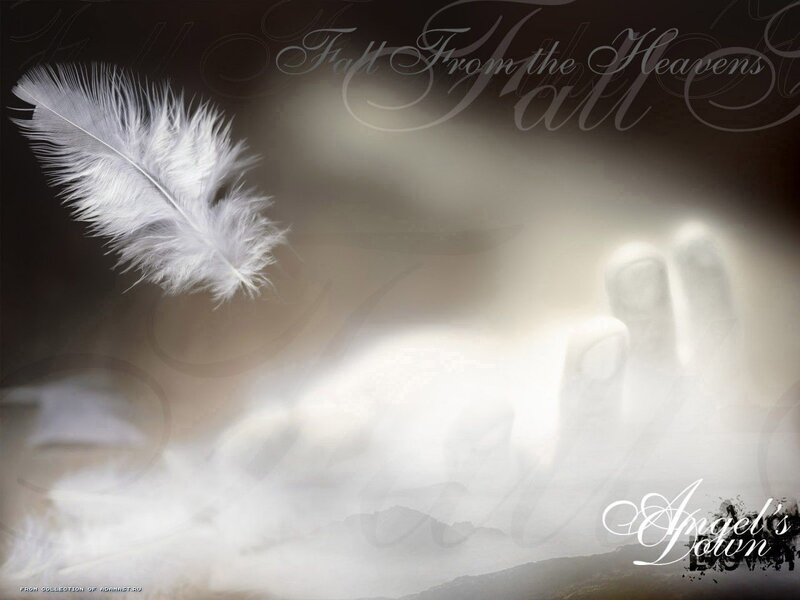 White Feather Falling