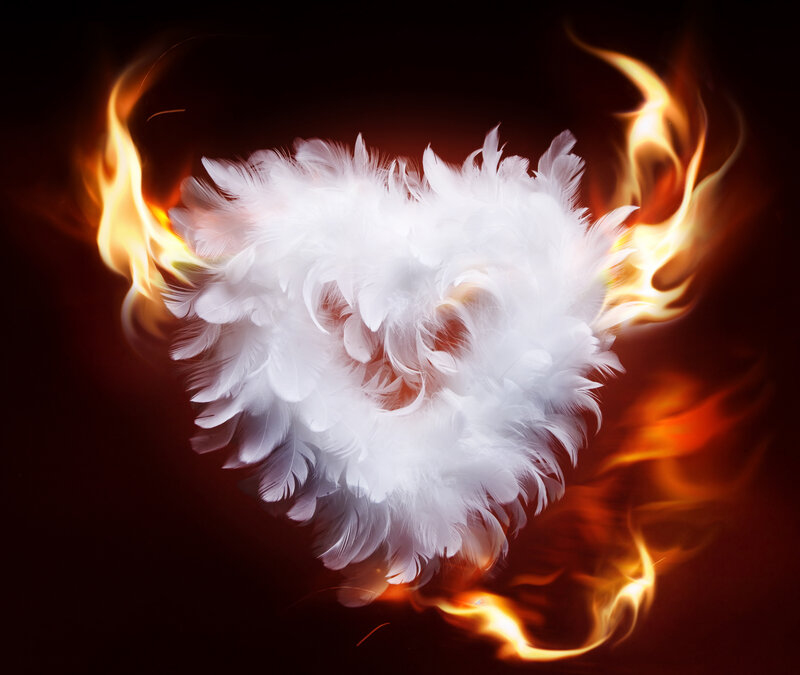 White Feather Heart