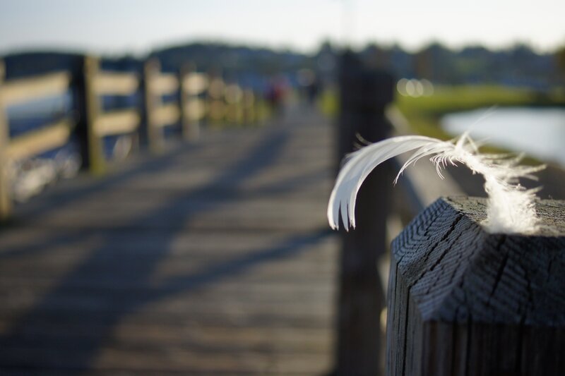 White feather on a wooden pier
