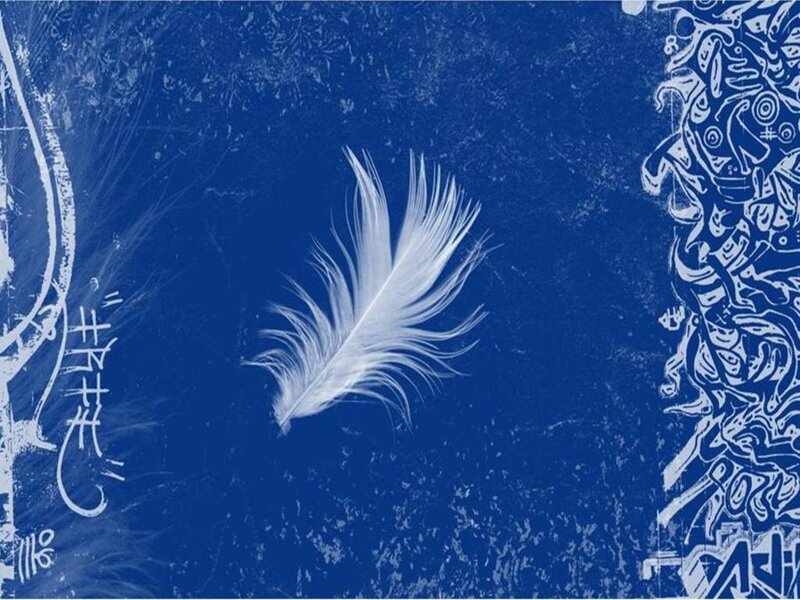 white feather on blue background
