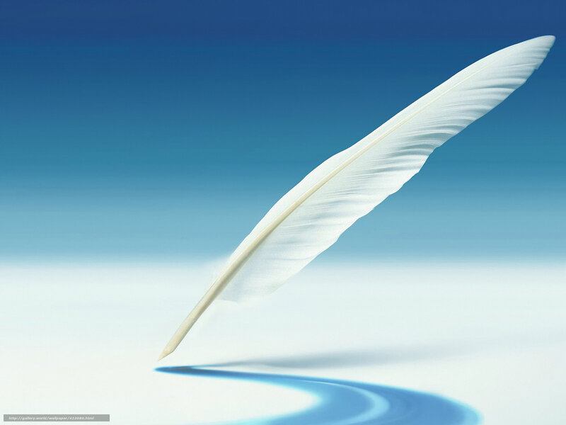 White feather on blue background