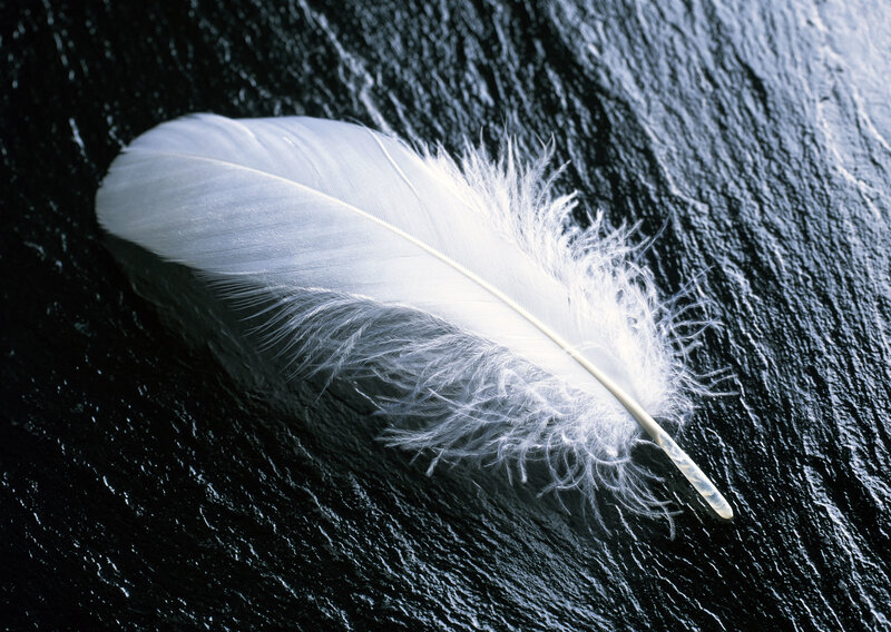 white feather on dark surface