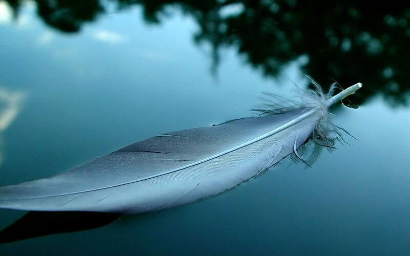 White Feather on Water — Blue, Serene, Photograph