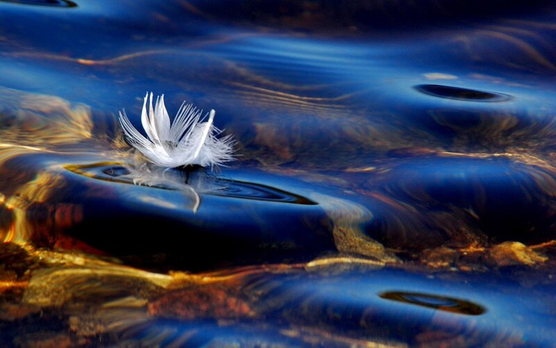 White Feather on Water — Blue
