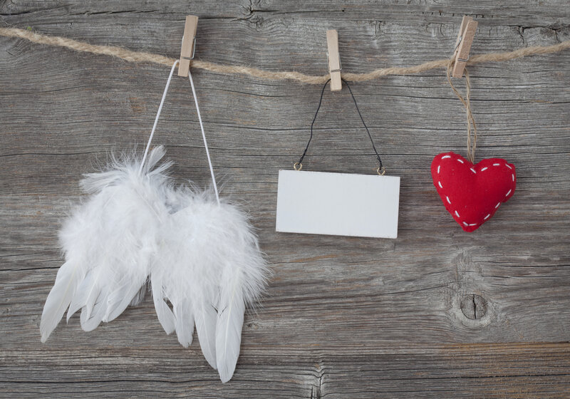 White Feather Wings — Gray