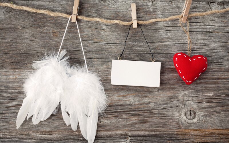 White Feather Wings