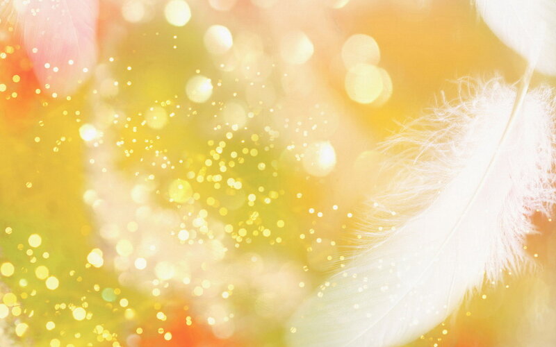 White Feather with Bokeh