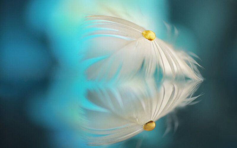 White Feather with Gold Beads