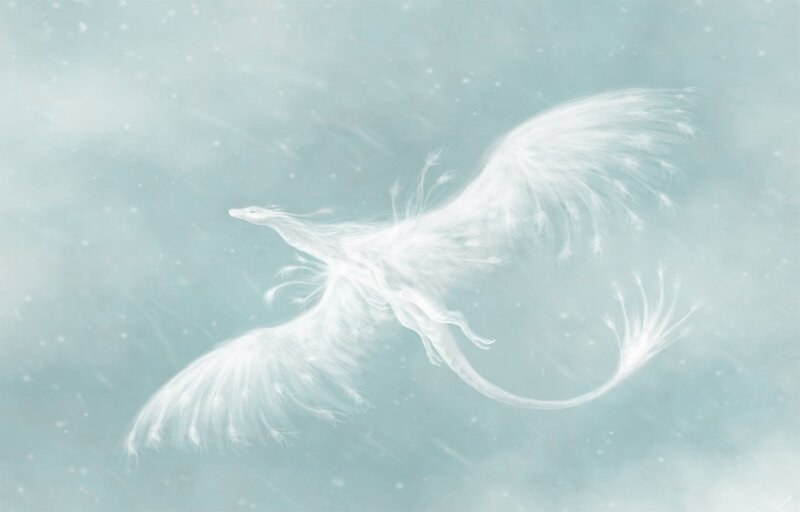 White Feathered Dragon