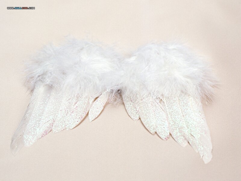 White Feathered Wings — Serene