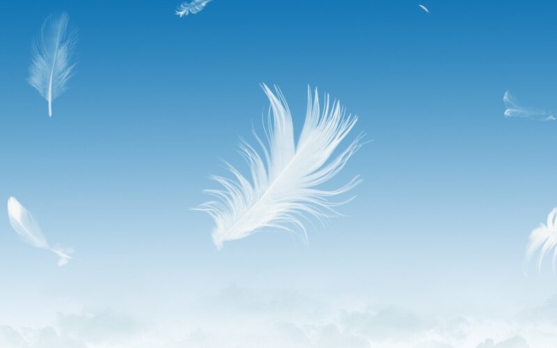 White Feathers Floating — Blue